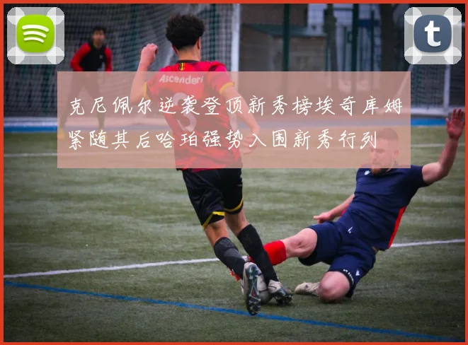 克尼佩尔逆袭登顶新秀榜埃奇库姆紧随其后哈珀强势入围新秀行列